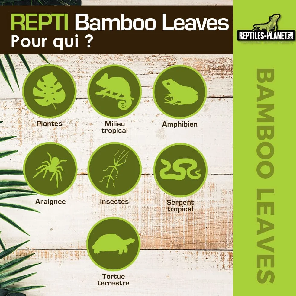 REPTILES PLANET Repti Bamboo Leaves Feuilles de Bambou Naturelles 2 litres Marron Clair
