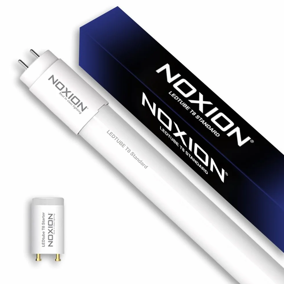 Noxion Tube LED T8 Avant 19W 2300lm 865 150cm Équivalent 58W