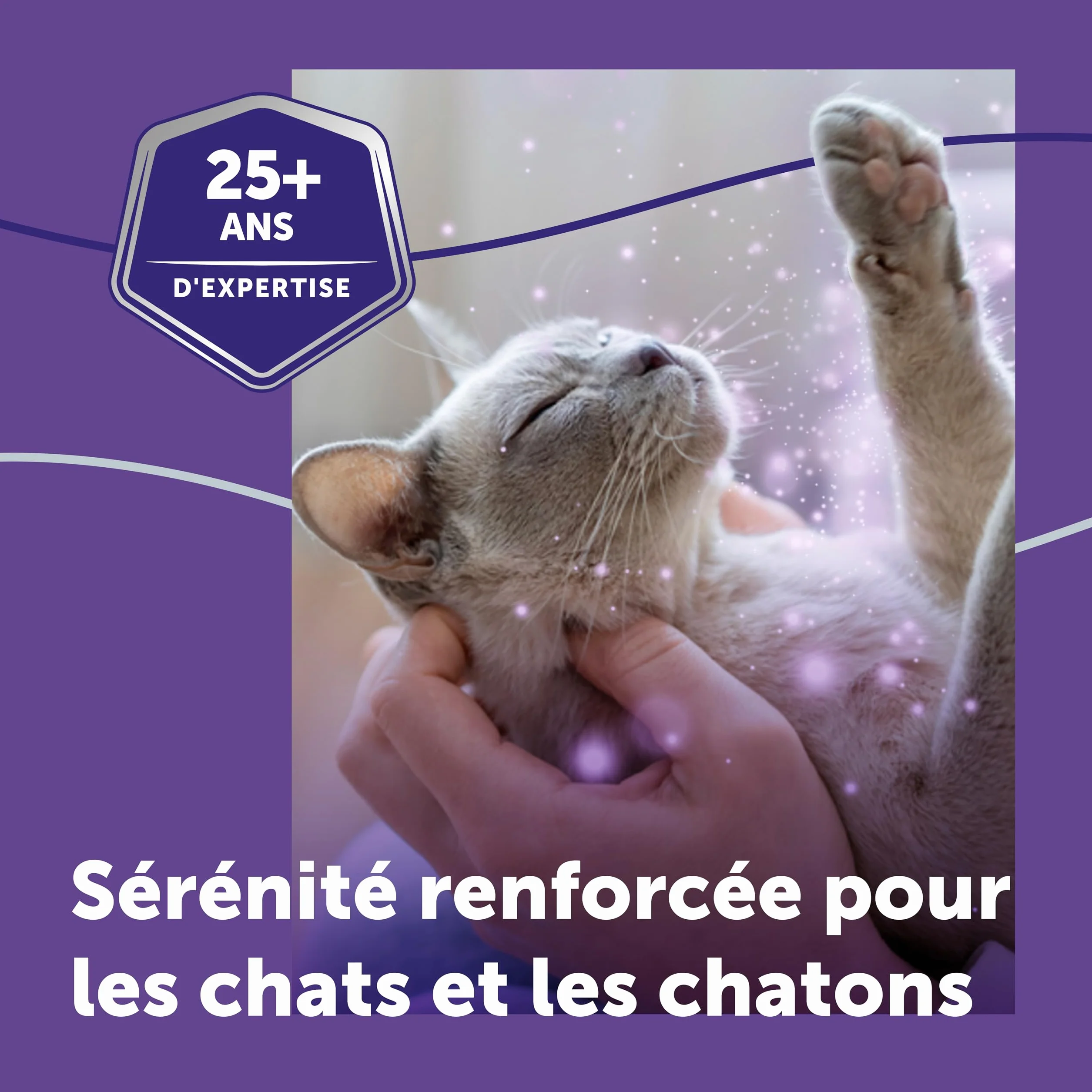 FELIWAY Optimum Recharge 30 Jours Anti-Stress pour Chat Phéromones Apaisantes