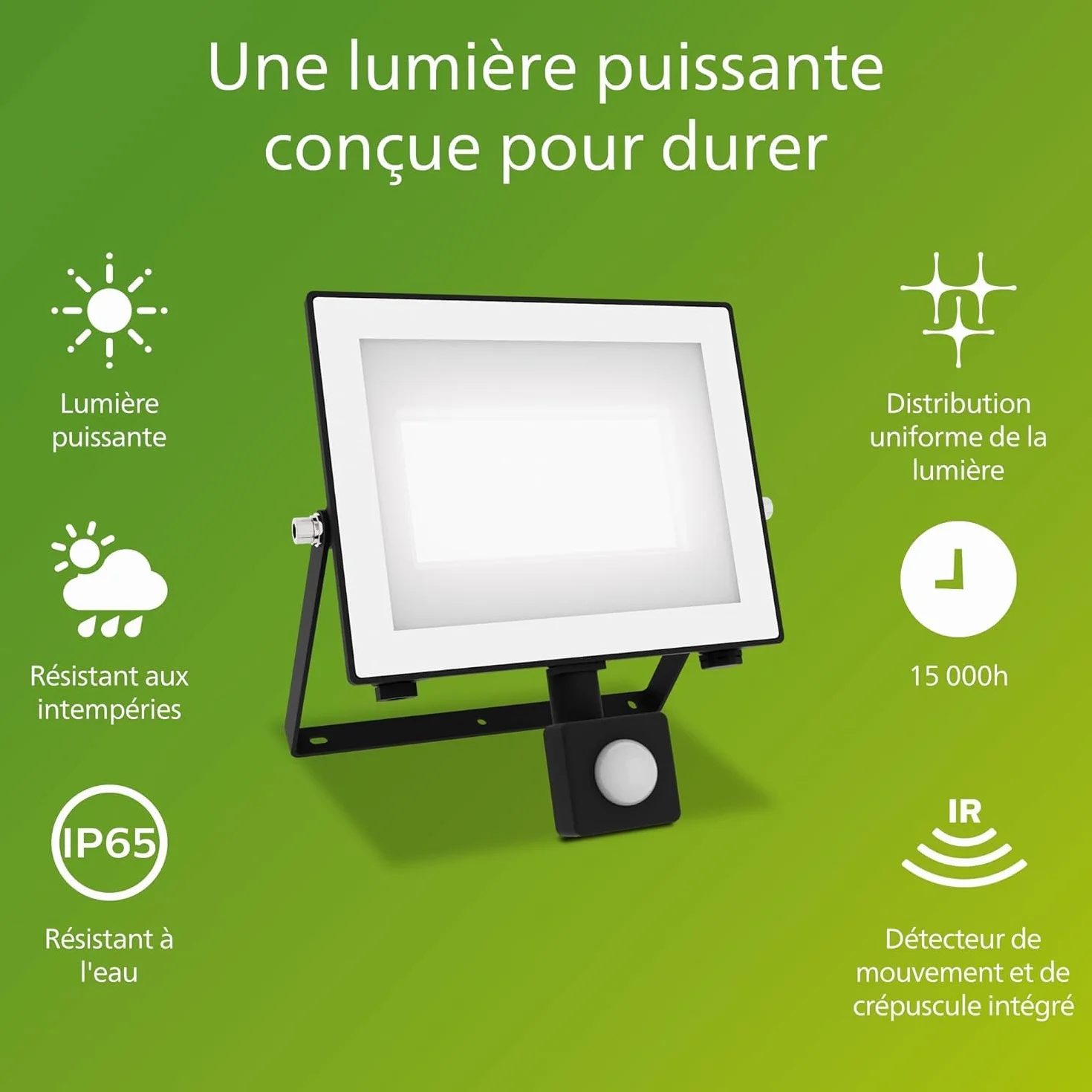 Philips Lois Projecteur Extérieur 50W 5000K Noir