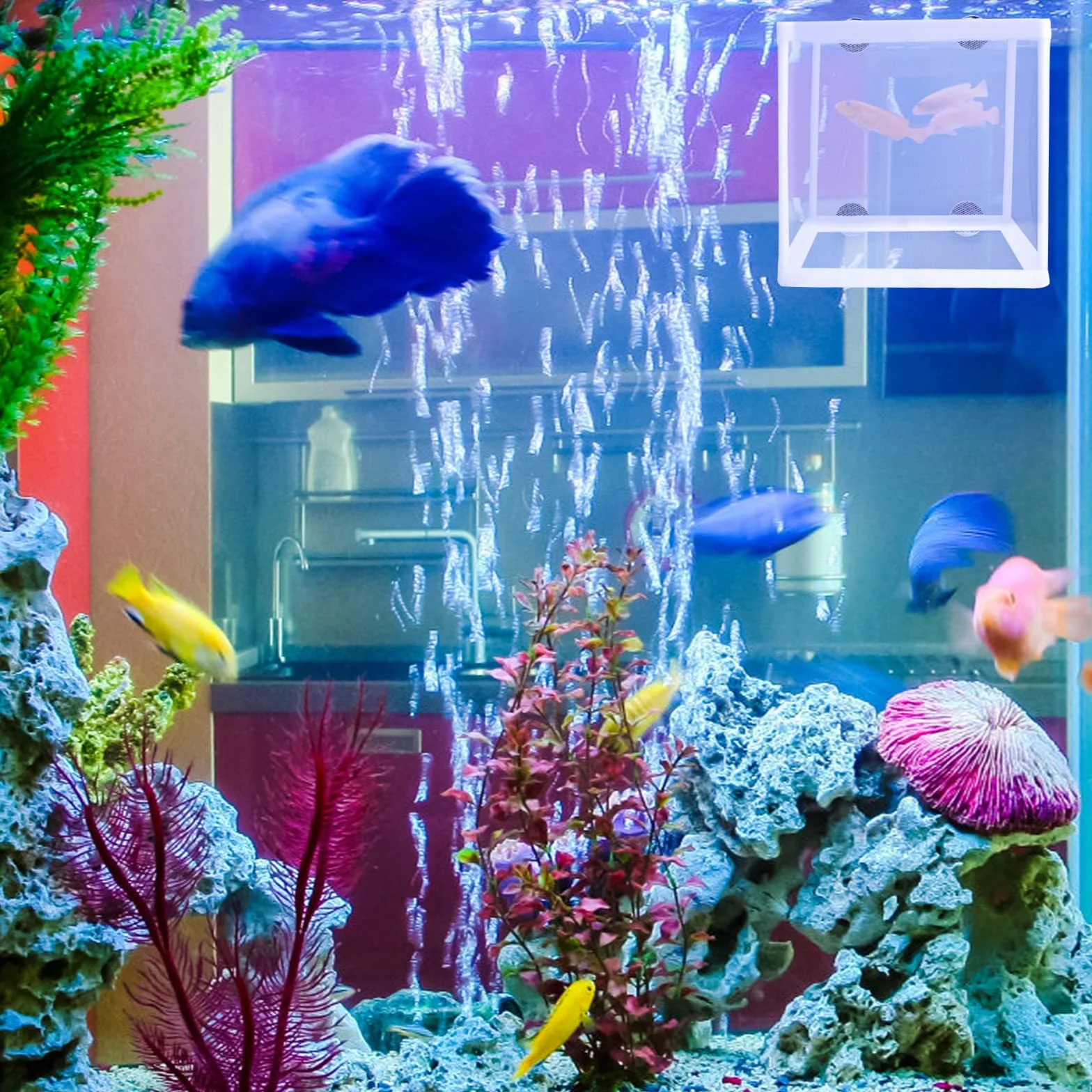 Aquarium Fish Breeding Box 2 Pcs Incubator Isolation Net with 8 Suction Cups