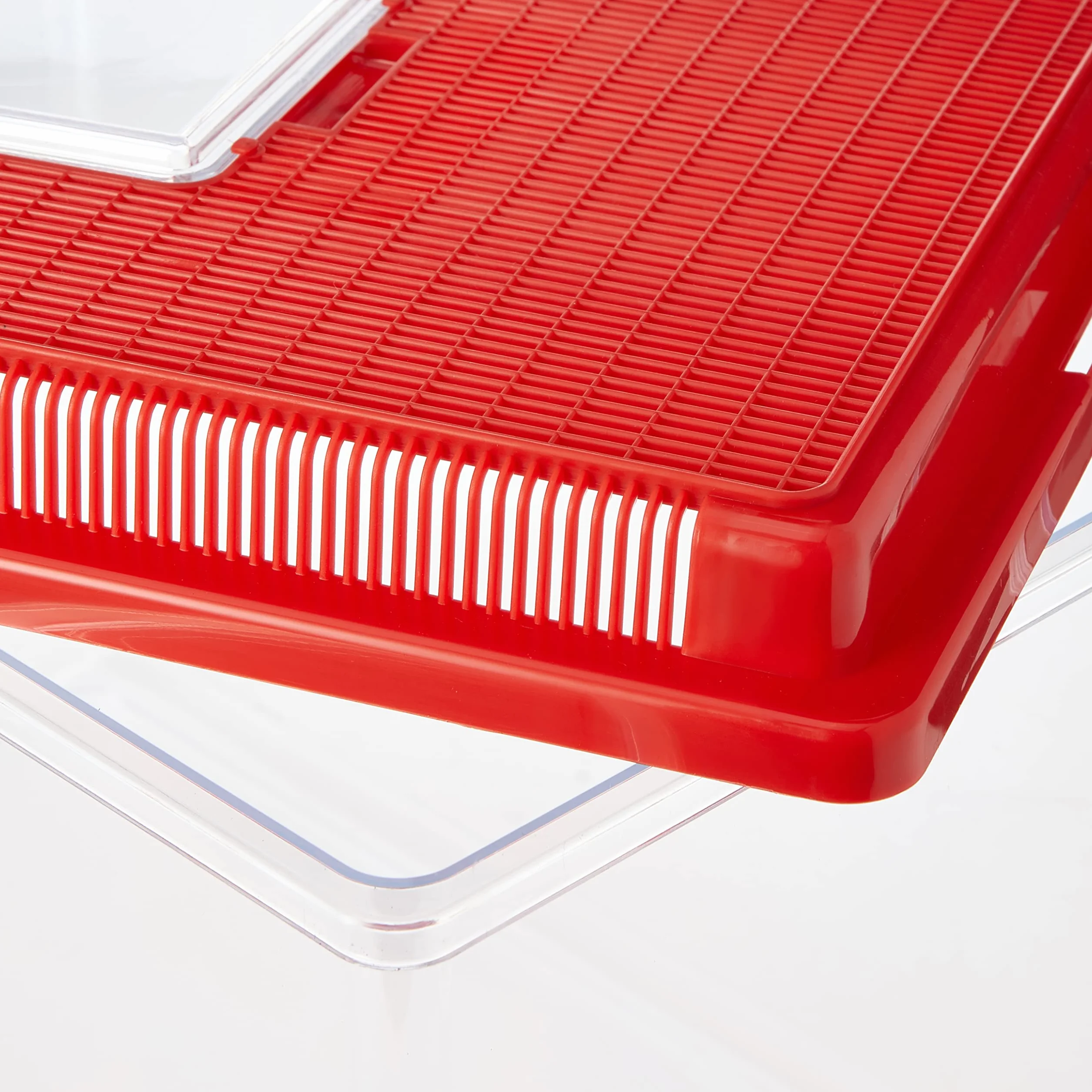 Ferplast Conteneur Plastique pour Petits Animaux Geo Extra Large 11 L 35,6 x 23,4 x 22,8 cm Rouge