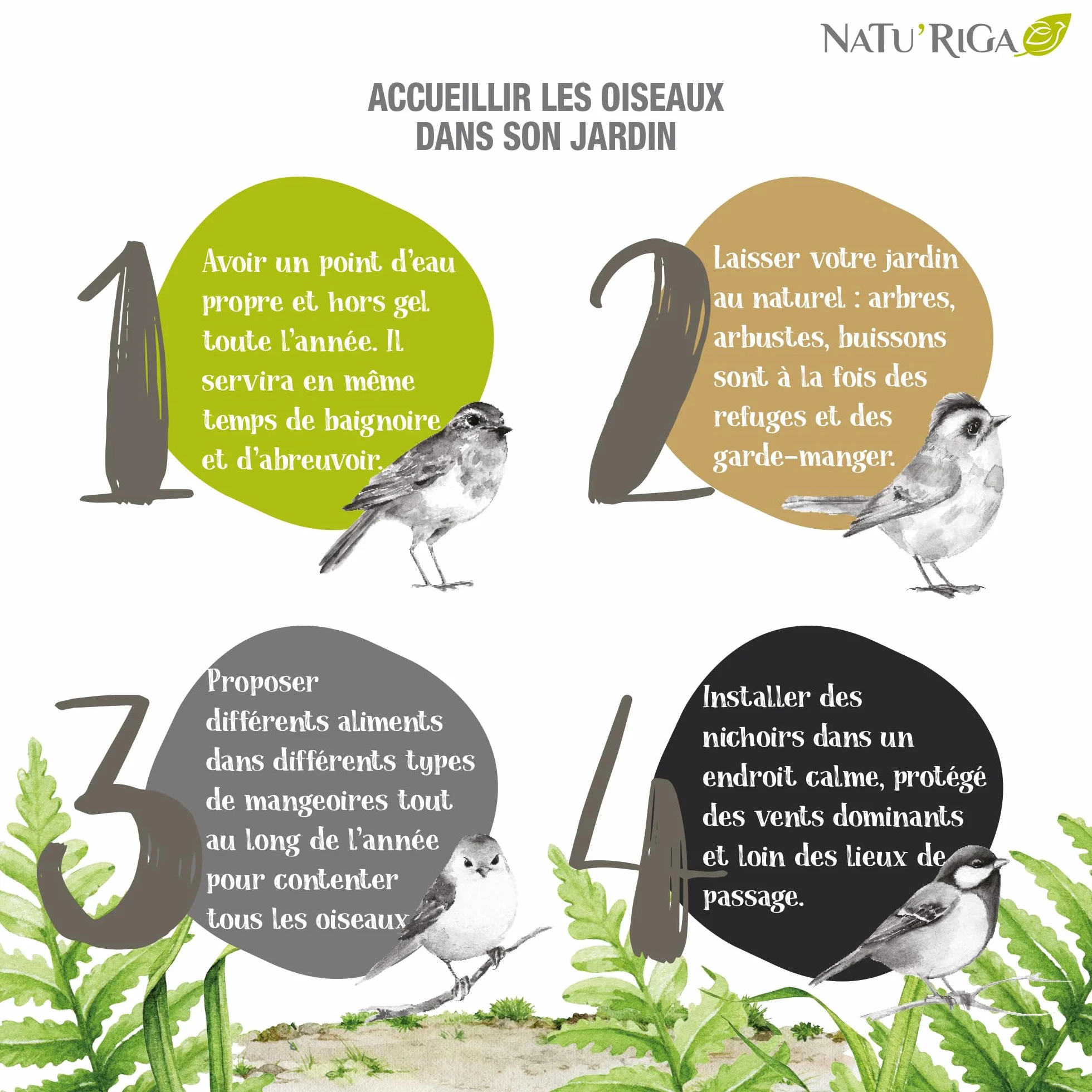 NATU'RIGA Mélange Tourterelles Nourriture Oiseaux Extérieur 2KG