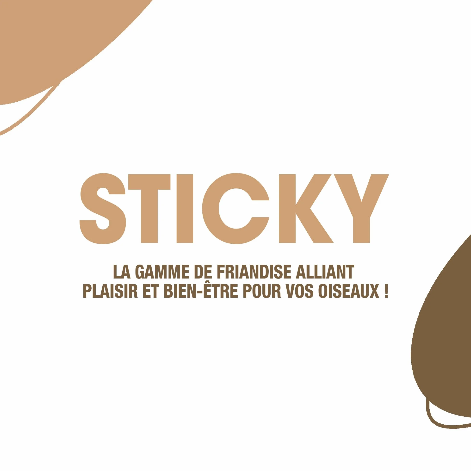 RIGA Barres De Sticky Aux Fruits Nourriture Pour Oiseaux Baguettes Graines Cuites Au Four Mangue Déshydratée x 2