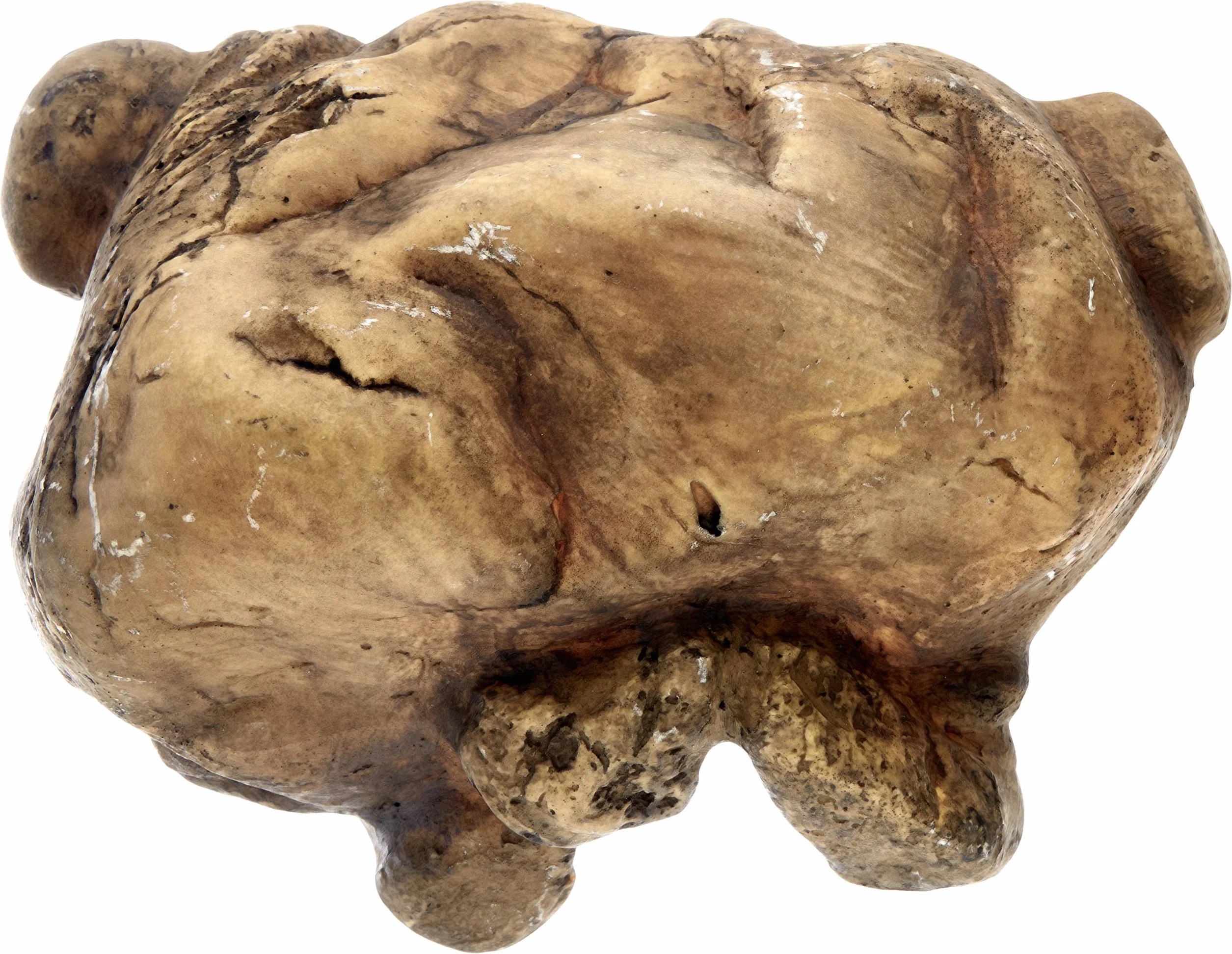Exoterra Reptile Cave Cachette Naturelle Taille L