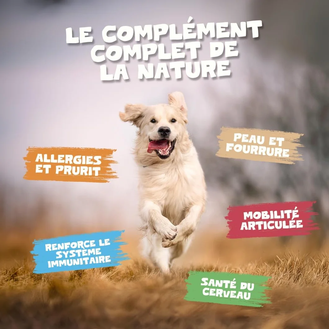 Pets Purest Huile de Saumon pour Chien et Chat 500ml Omega 3 6 9 Vitamine E