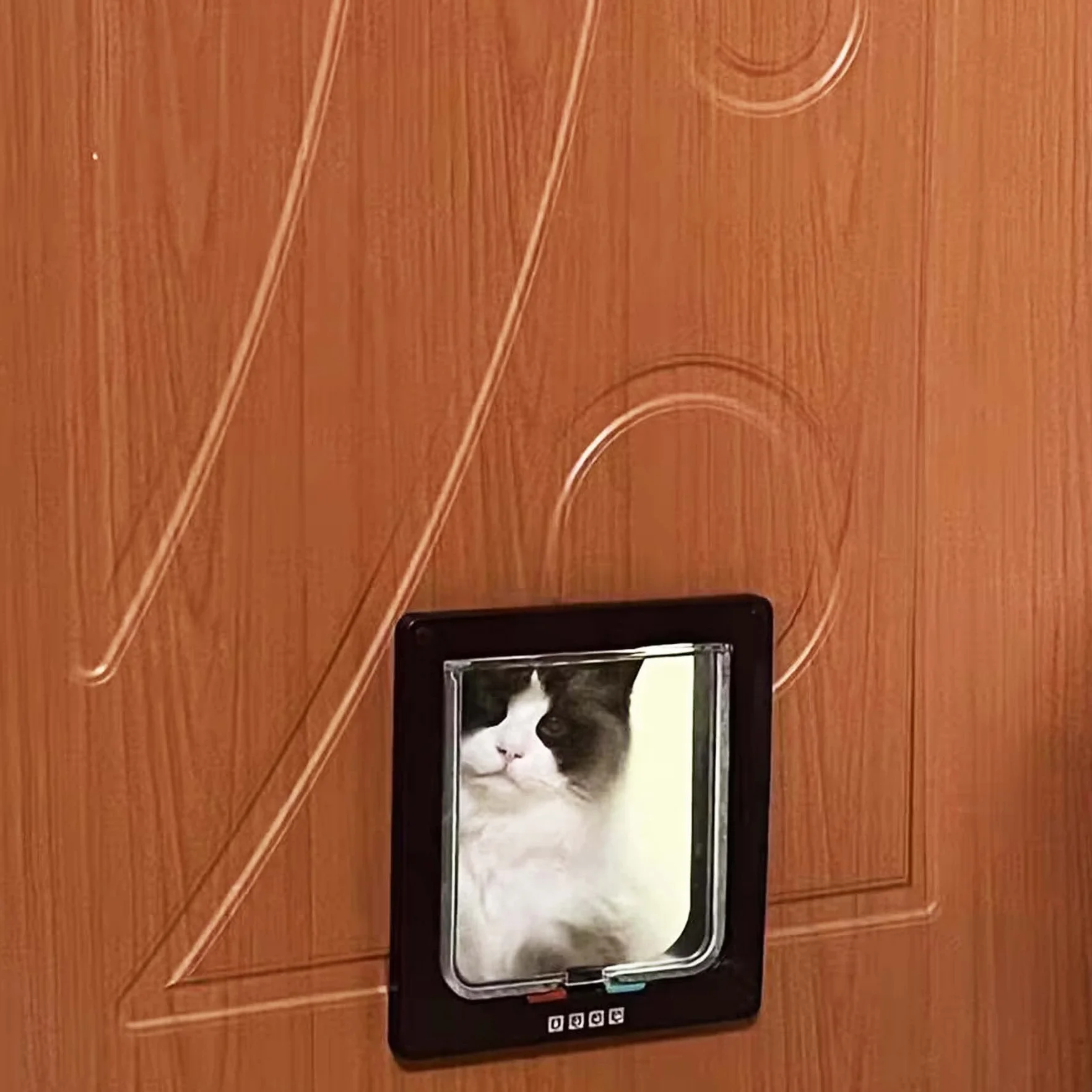 Chat avec fermeture à 4 voies, porte pour animaux domestiques, chat/chien avec tunnel