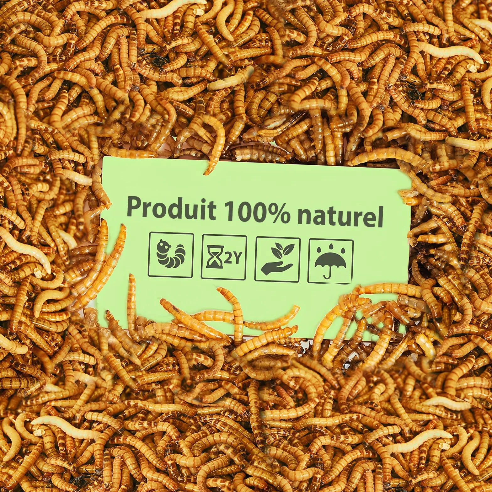 AVIDA ZEN Vers de Farine Séchés 800g - Friandises Naturelles pour Poissons, Oiseaux, Tortues, Rongeurs et Reptiles
