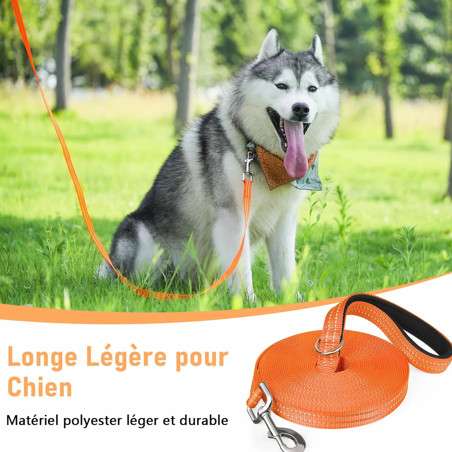 XBEN Longe pour Chien 15M Laisse de Dressage Rembourrée Durable Léger avec Boucle
