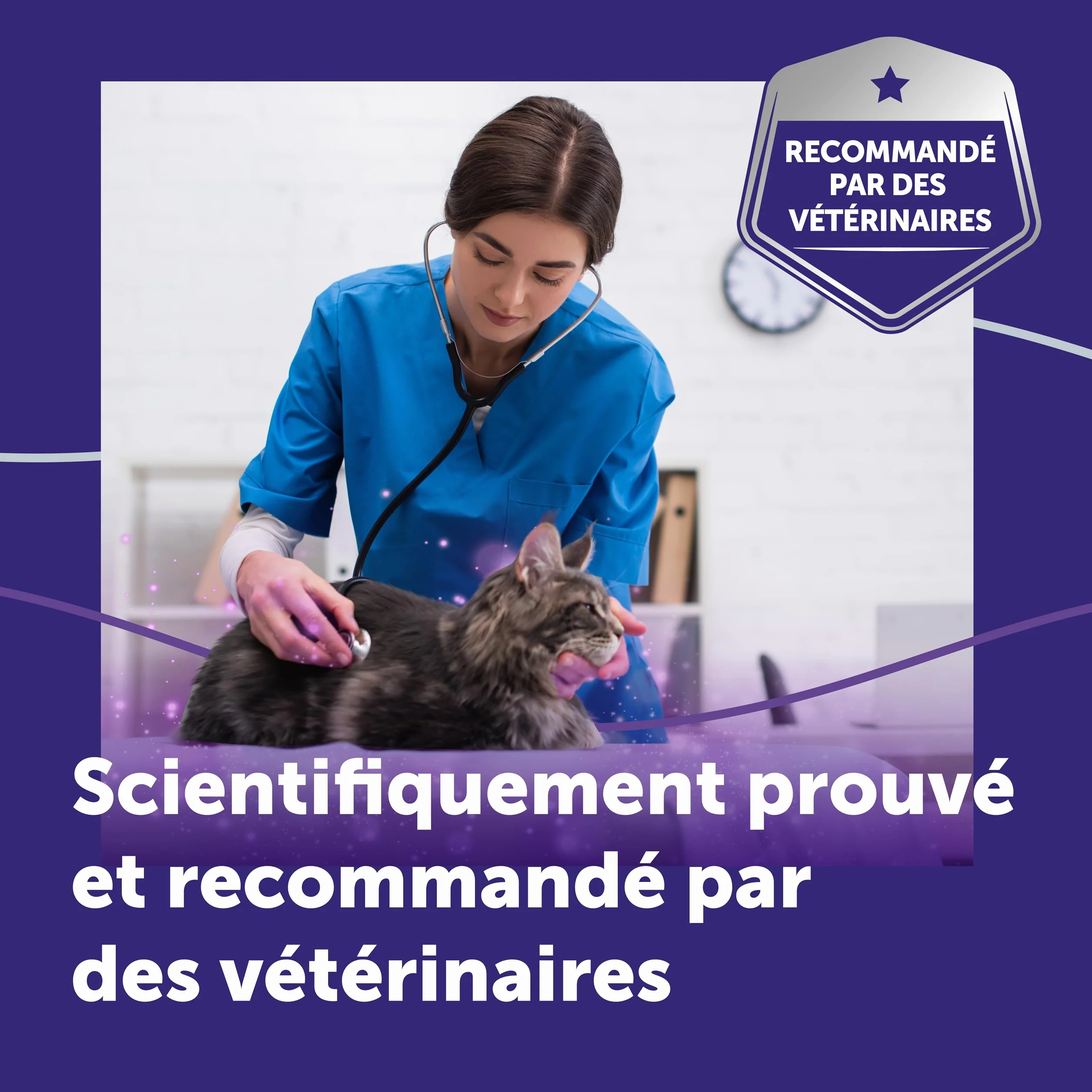 FELIWAY Optimum Recharge 30 Jours Anti-Stress pour Chat Phéromones Apaisantes