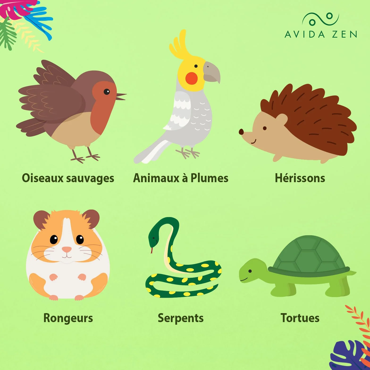 AVIDA ZEN Vers de Farine Séchés 800g - Friandises Naturelles pour Poissons, Oiseaux, Tortues, Rongeurs et Reptiles