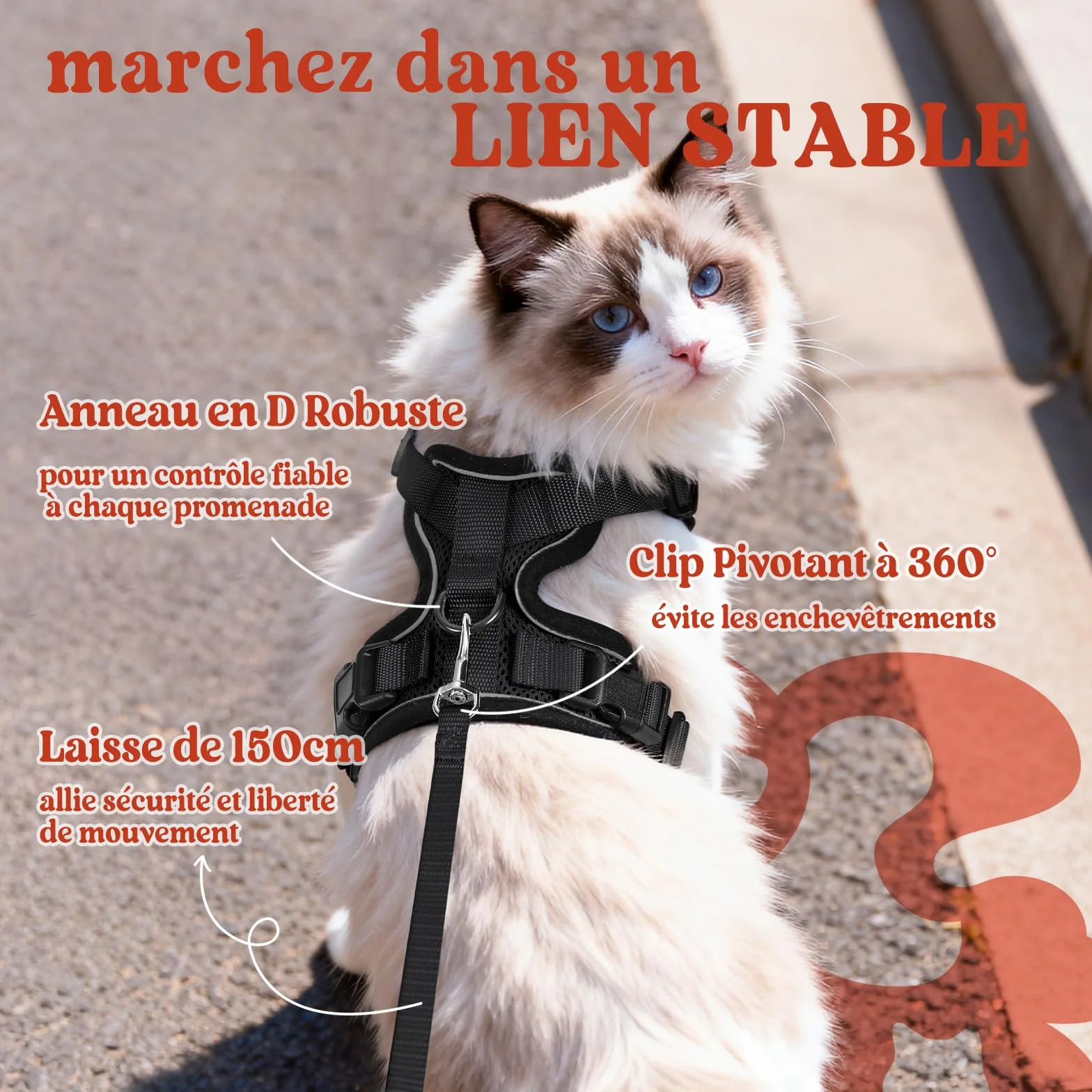 Rabbitgoo Harnais Chat Réglable Noir XS Réfléchissant Gilet Respirant pour Petit Chien Chaton