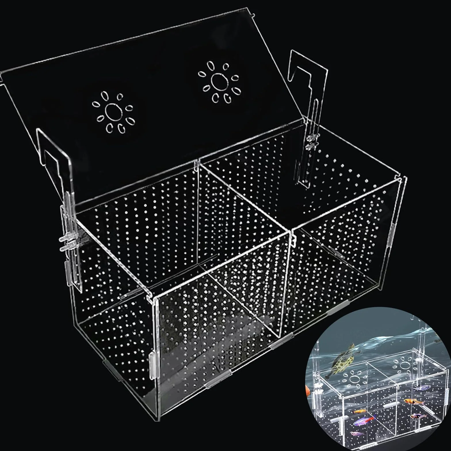 Boite Elevage Poisson Aquarium Breeding Box Boîte D'isolement Poissons Nurserie