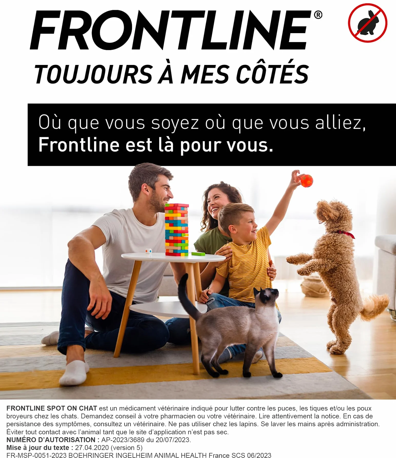 FRONTLINE Spot On Chat Anti Puces Tiques Poux 6 Pipettes