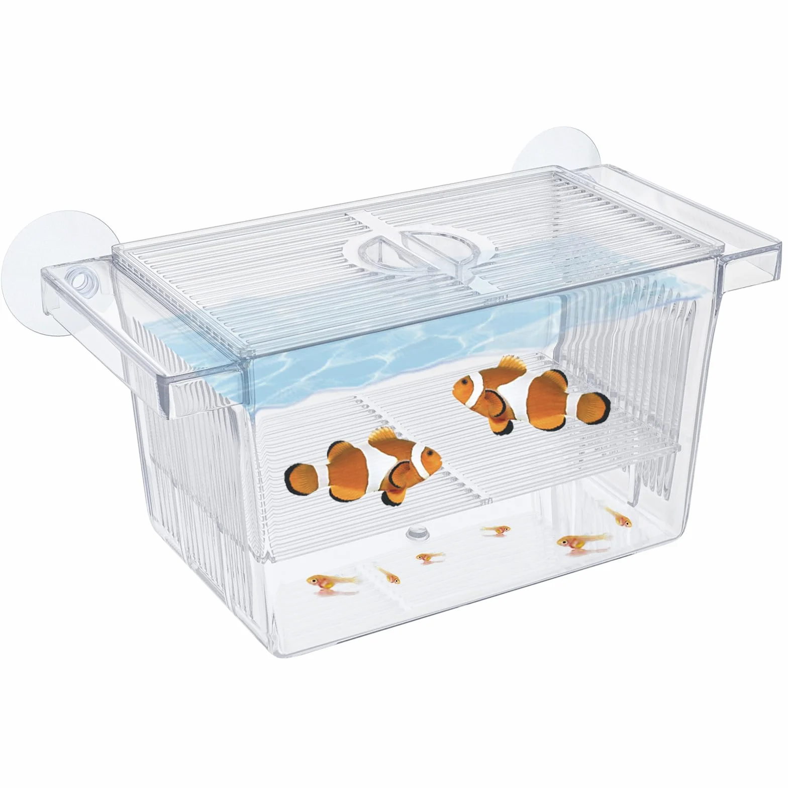 Pawfly Boîte d'Incubation pour Poissons d'Aquarium en Acrylique avec Ventouses