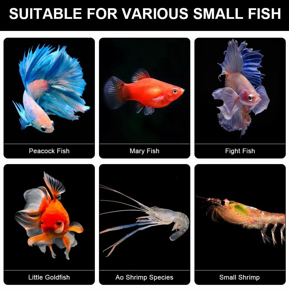 Boîte d'élevage aquarium crevettes ventouses 100 x 70 x 130 mm