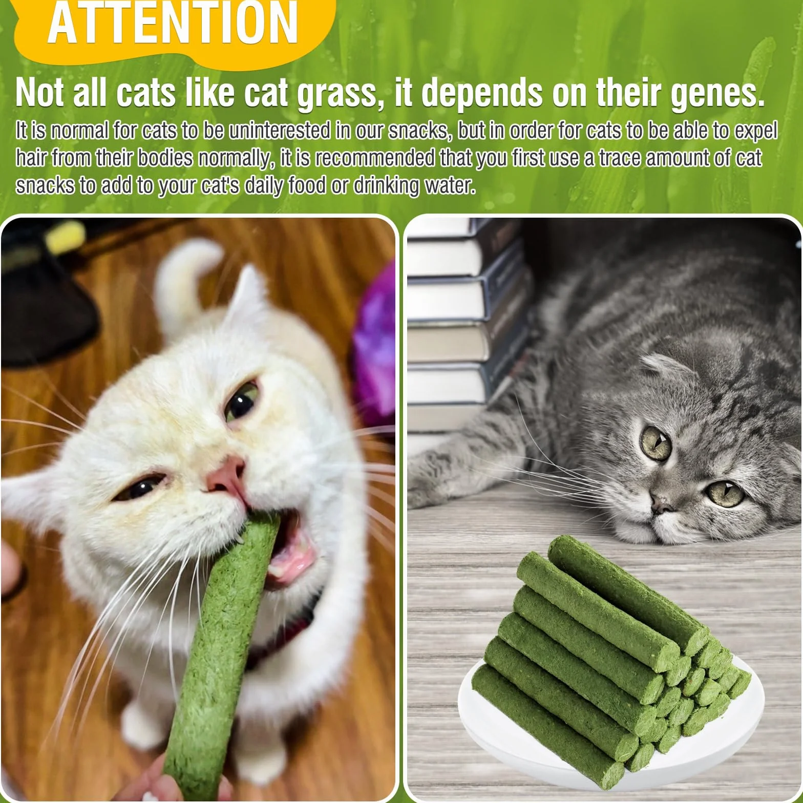 Bâton d'herbe à Chat Lyophilisé 225g, Friandises pour Chats, Nettoyage des Dents et Boules de Poils