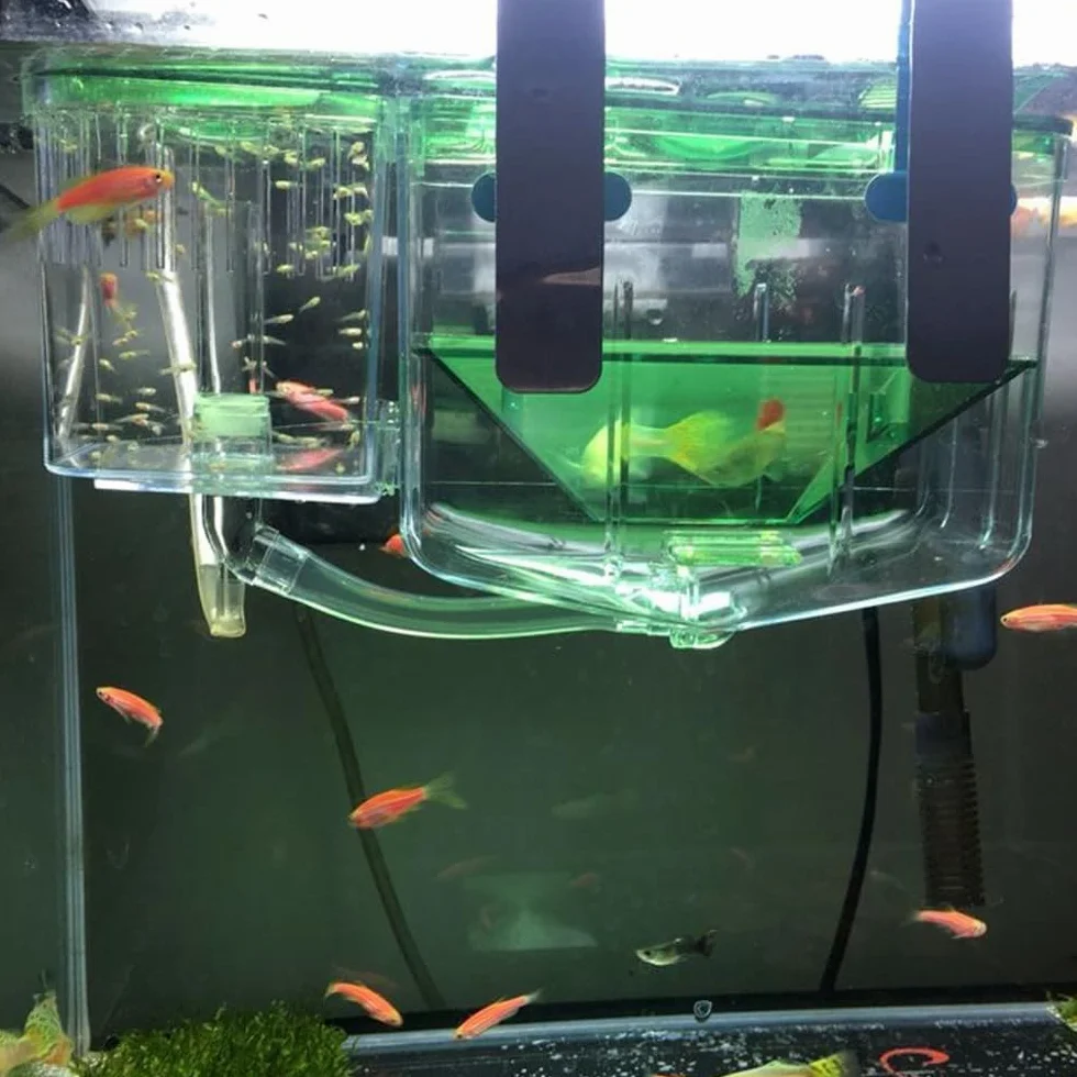 Boîte d'élevage de Poissons d'aquarium Double Couche Incubateur d'éclosion d'alevins