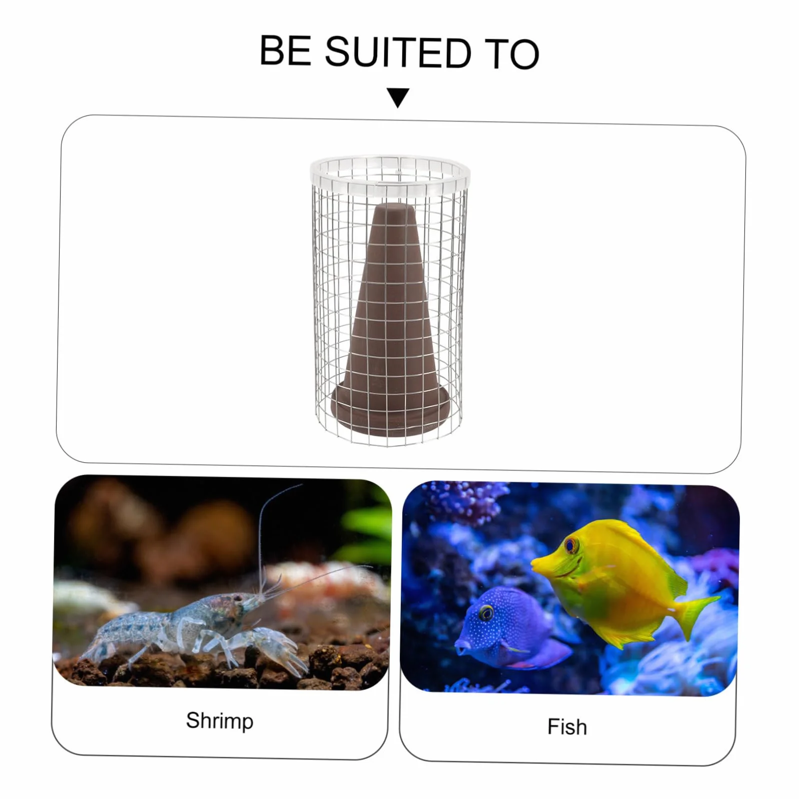 Toyvian Cône de Reproduction pour Poissons en Argile avec Filet Isolant et Rainure Inférieure, Protège Œufs de Poisson et Crevettes