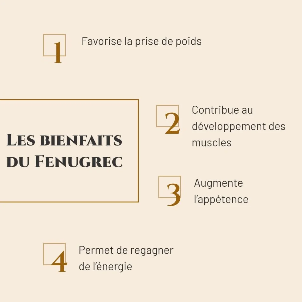 FENUGREC Complément nutritionnel Cheval Seau 1 kg Développement des Muscles Energie Marque Française
