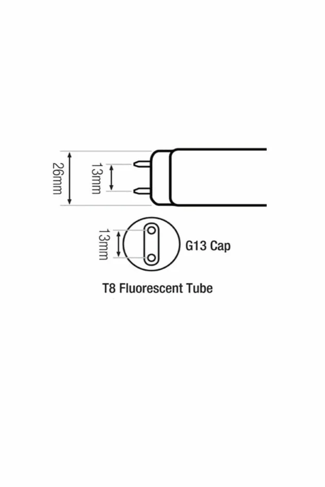Philips TL-D 58W 840 Ampoule Fluorescente Lot de 10