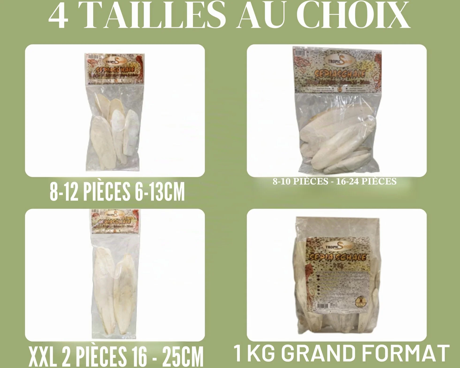 Sépia Rigide la Source Calcium Naturelle 6 – Lot de 10 pour Tortues, pogonas, Oiseaux