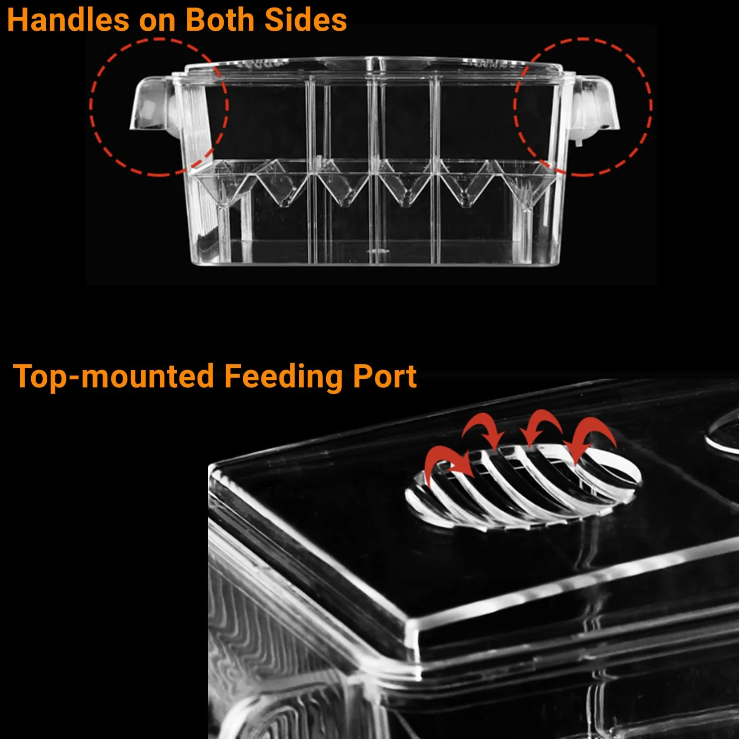 Boîte d'élevage de poissons d'aquarium acrylique ventouses écloserie isolement guppy tropicaux