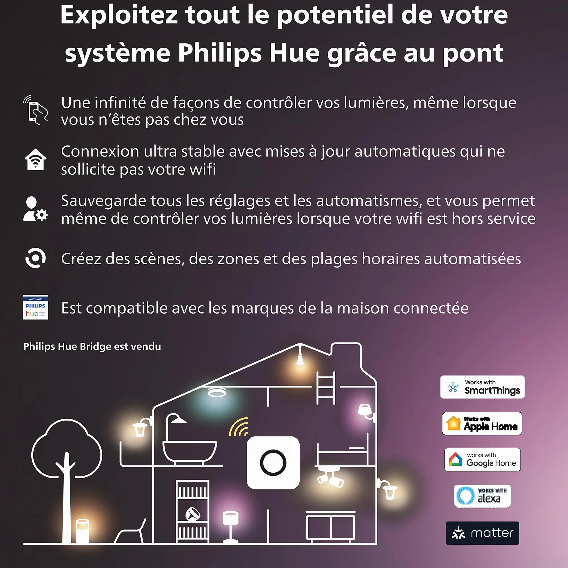 Philips Hue White & Color Ambiance LILY Kit 3 Spots 8W Anthracite LED extérieur compatible Alexa Google Assistant Apple Homekit
