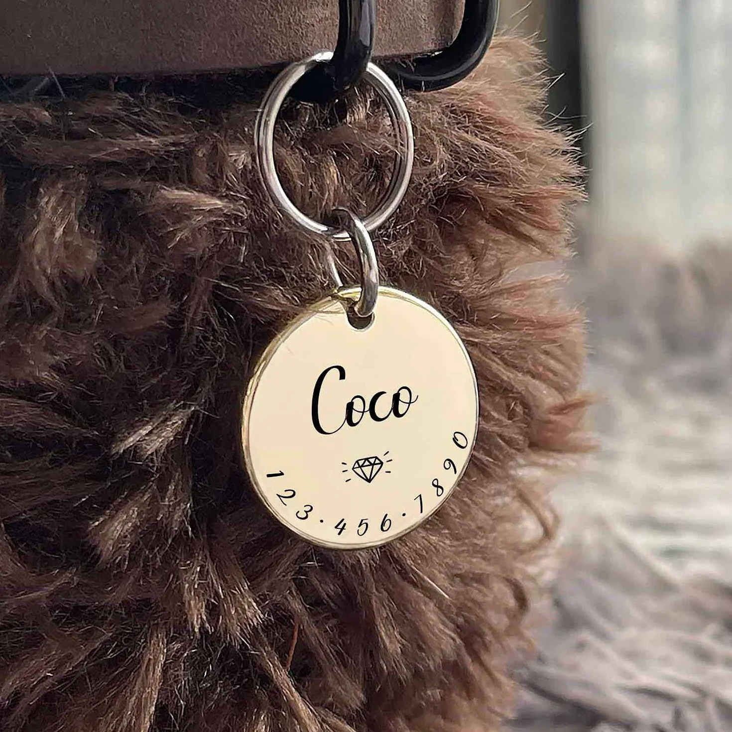 Médaille Personnalisable Chien Chat Collier Harnais Accessoire Charme Acier Inoxydable