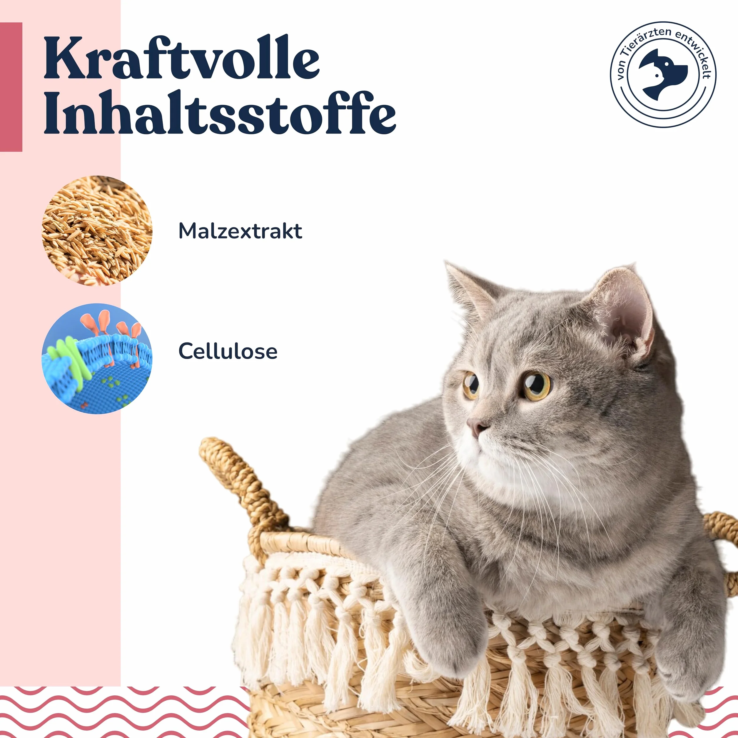 Felmo Pâte anti-poils pour chats 100 g - Empêche boules de poils, favorise digestion - Alternative herbe à chat