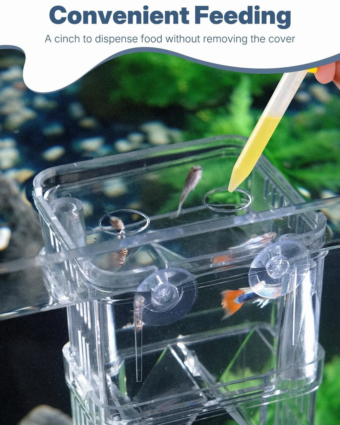 Pawfly Aquarium Boîte d'élevage en Plastique Transparent pour Poissons Incubateur Guppy