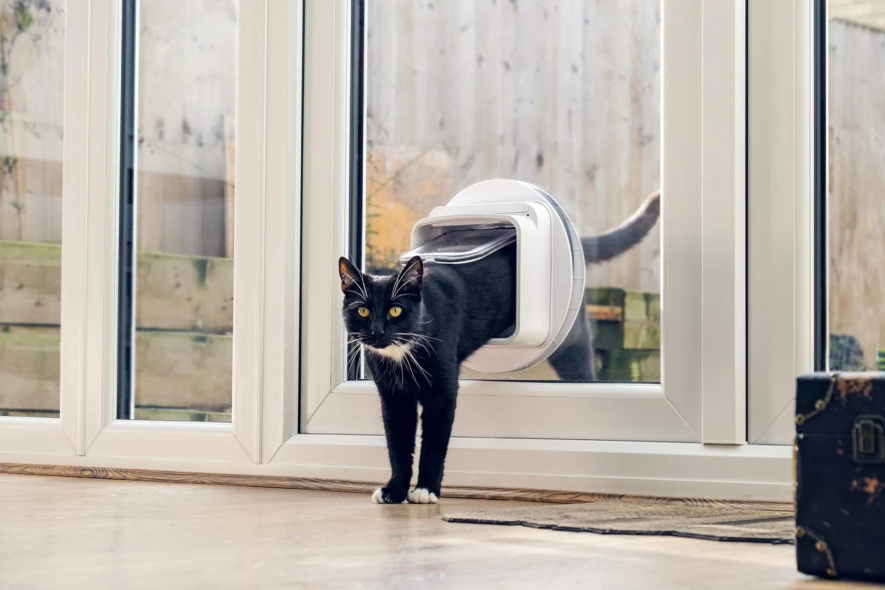 SureFlap Chatière à Puce électronique Connect DualScan Compatible Application Blanc