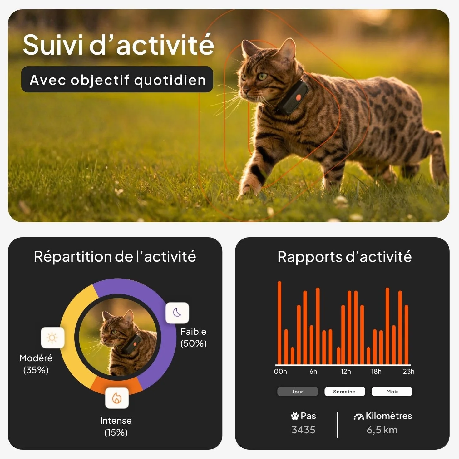 Weenect Chat XS Collier GPS pour Chat Suivi en Temps réel Plus Petit modèle du marché Fonctionne avec abonnement Collier Inclus Garantie à Vie