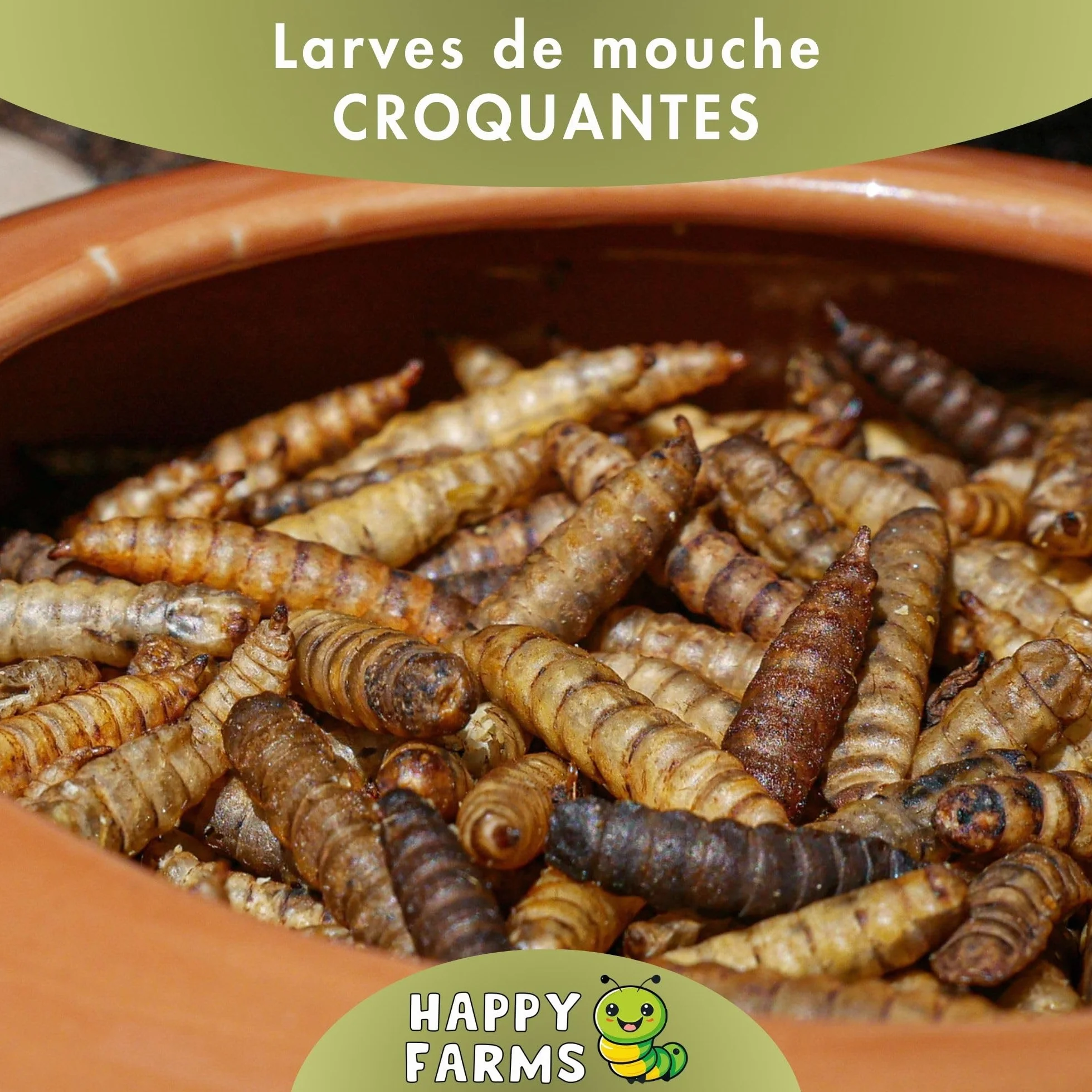 Larves de Mouches Soldats séchées 10 kg Nourriture pour Oiseaux Sauvages Poissons Hérissons