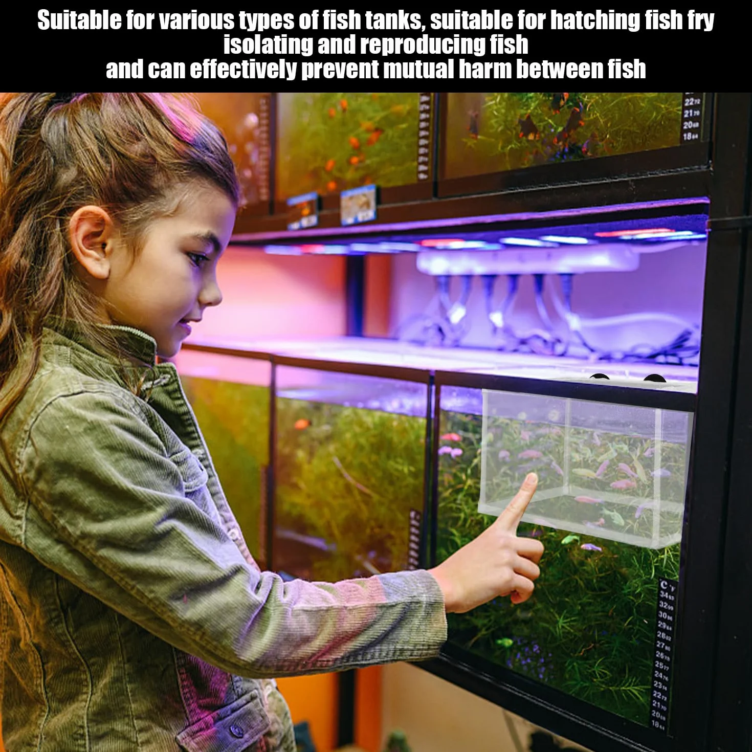 Filet d'isolation pour réservoir de poisson avec ventouse, boîte d'élevage d'aquarium