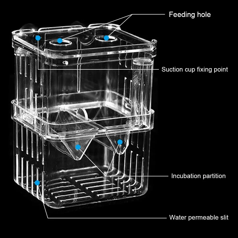 Boîte d'élevage aquarium crevettes ventouses 100 x 70 x 130 mm