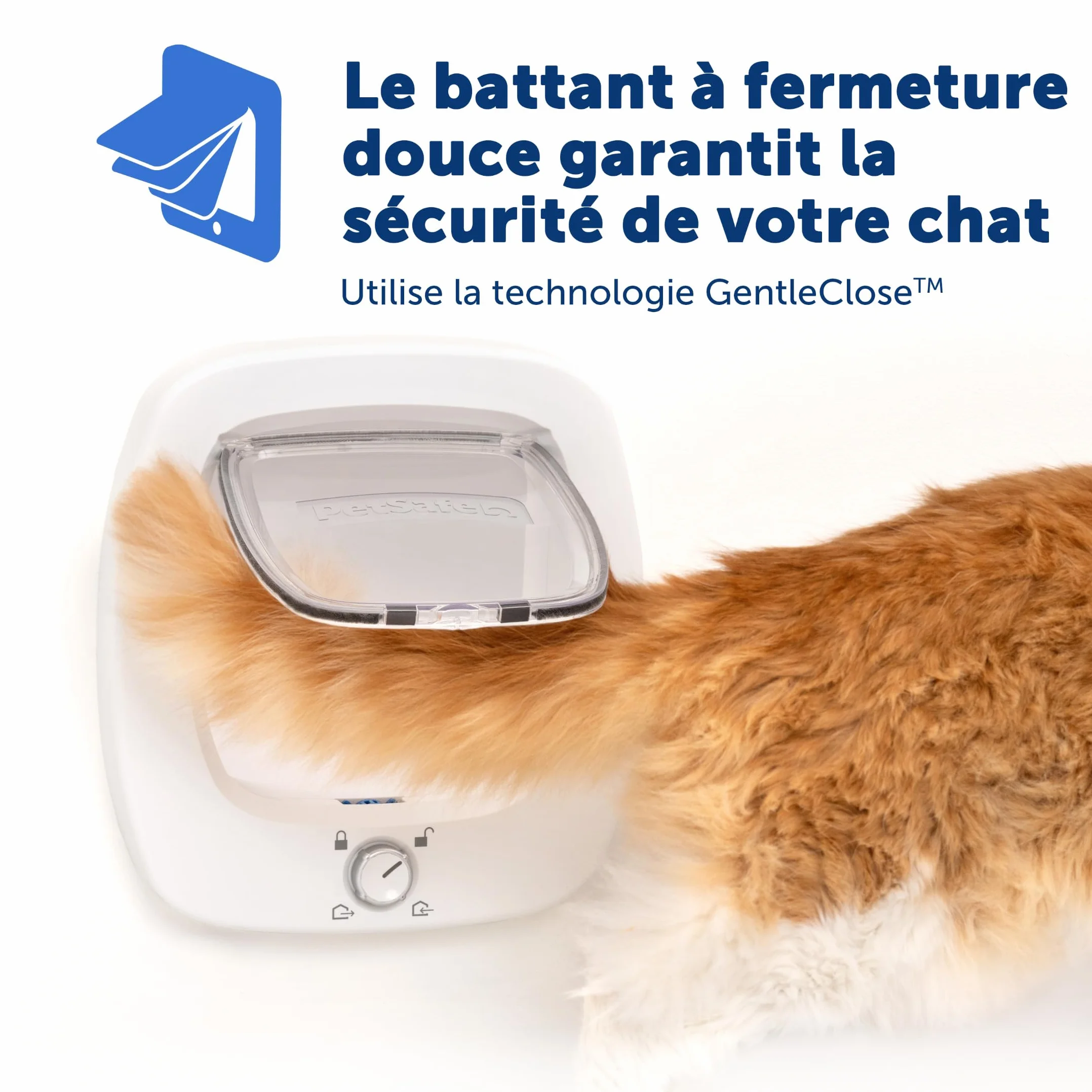 PetSafe Chatière Grande Porte pour Animaux Intérieure et Extérieure 4 Options de Fermeture Volet Douce pour Chats et Petits Chiens