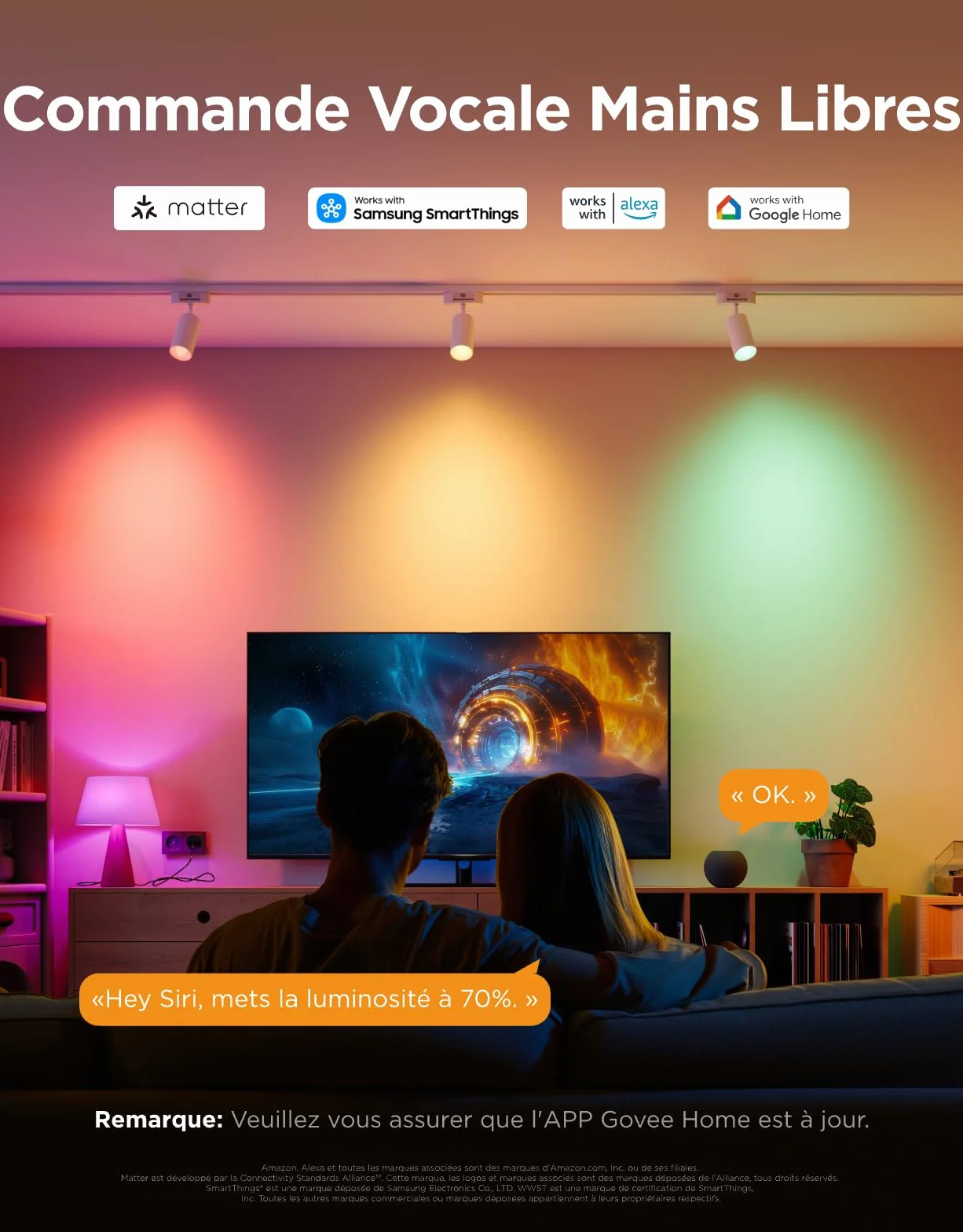 Govee Ampoule Connectée E14 RGBWW Compatible Matter Alexa Google Assistant 450 lm 4.8W Lot de 2