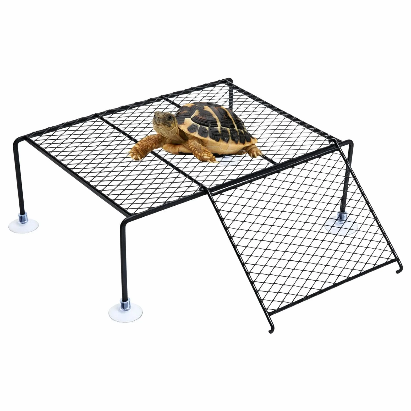 Plateforme solaire pour tortues d'eau - Île de repos avec rampe à ventouse, aquarium