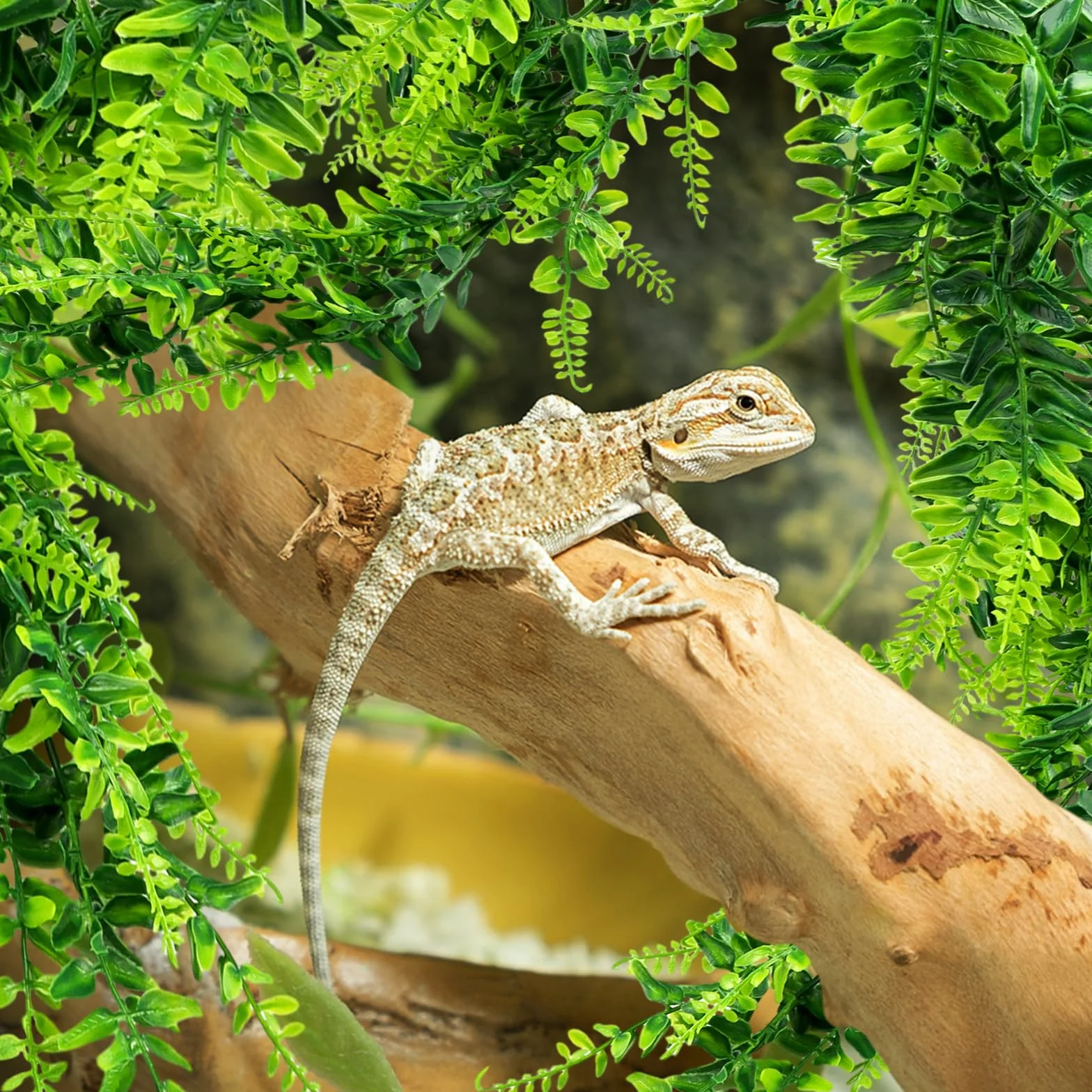 QUOZUO 2 Plantes Suspendues Artificielles Terrarium Décoration pour Lézard Escalade Caméléon Gecko Serpents