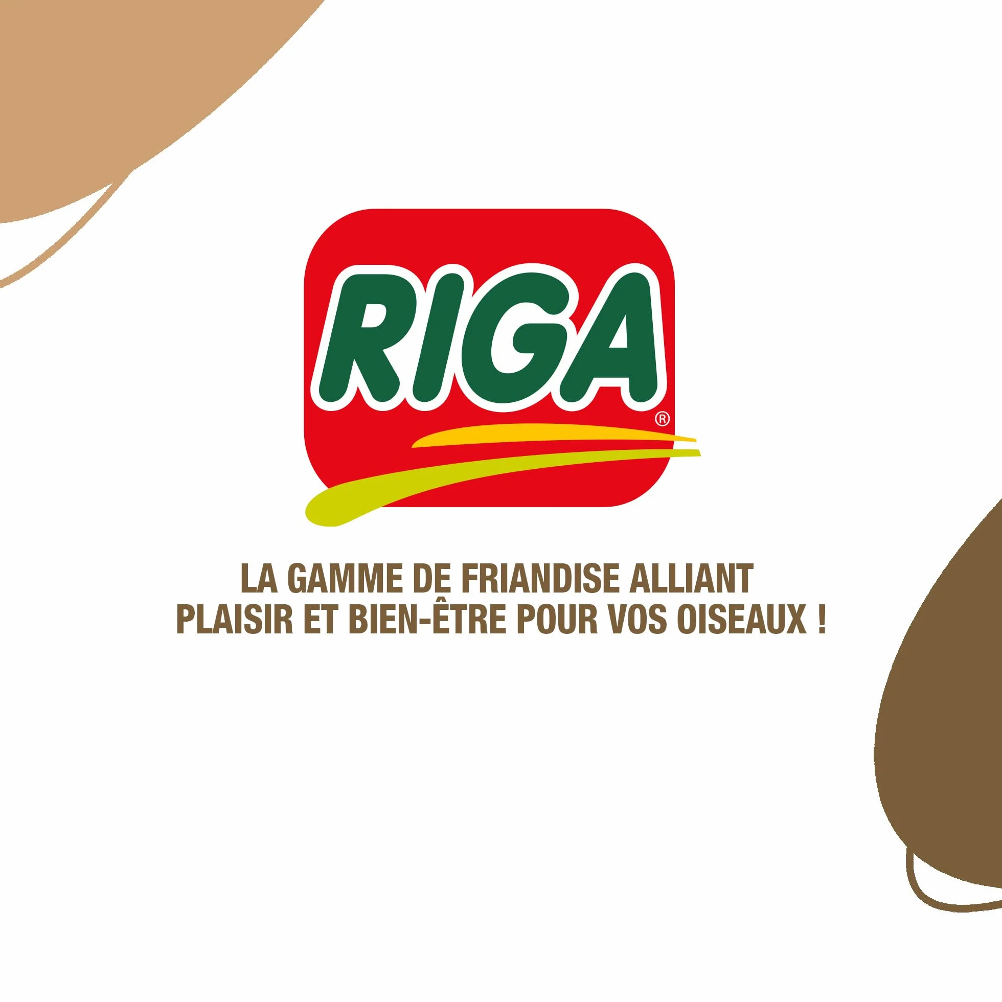 Biscuits Oiseaux aux Œufs Boîte de 6 (1 x 65 g)