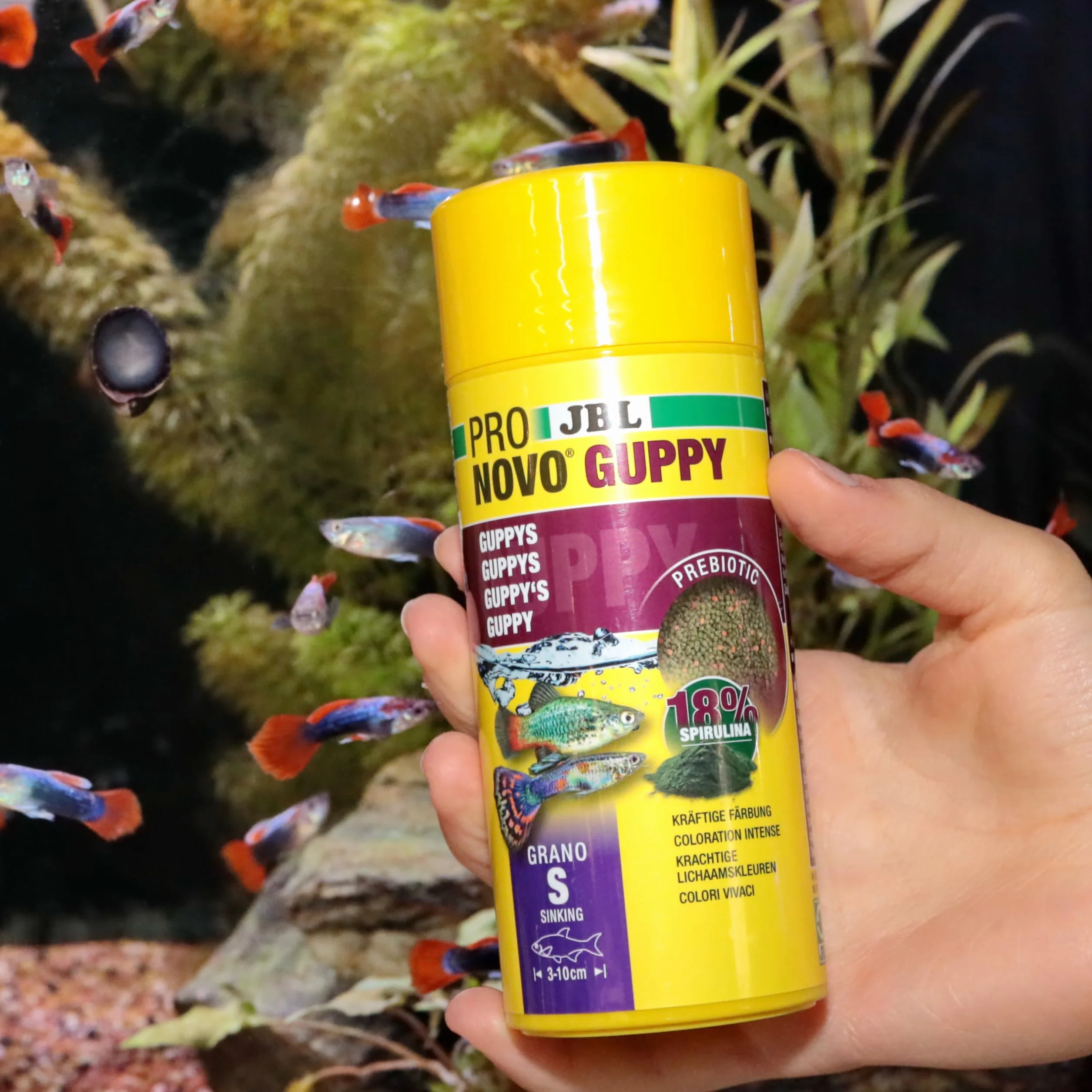 JBL PRONOVO GUPPY GRANO Aliment de Base pour Guppys Granulés Poissons Ovovivipares 3-10 cm Doseur à clic Taille S 250 ml