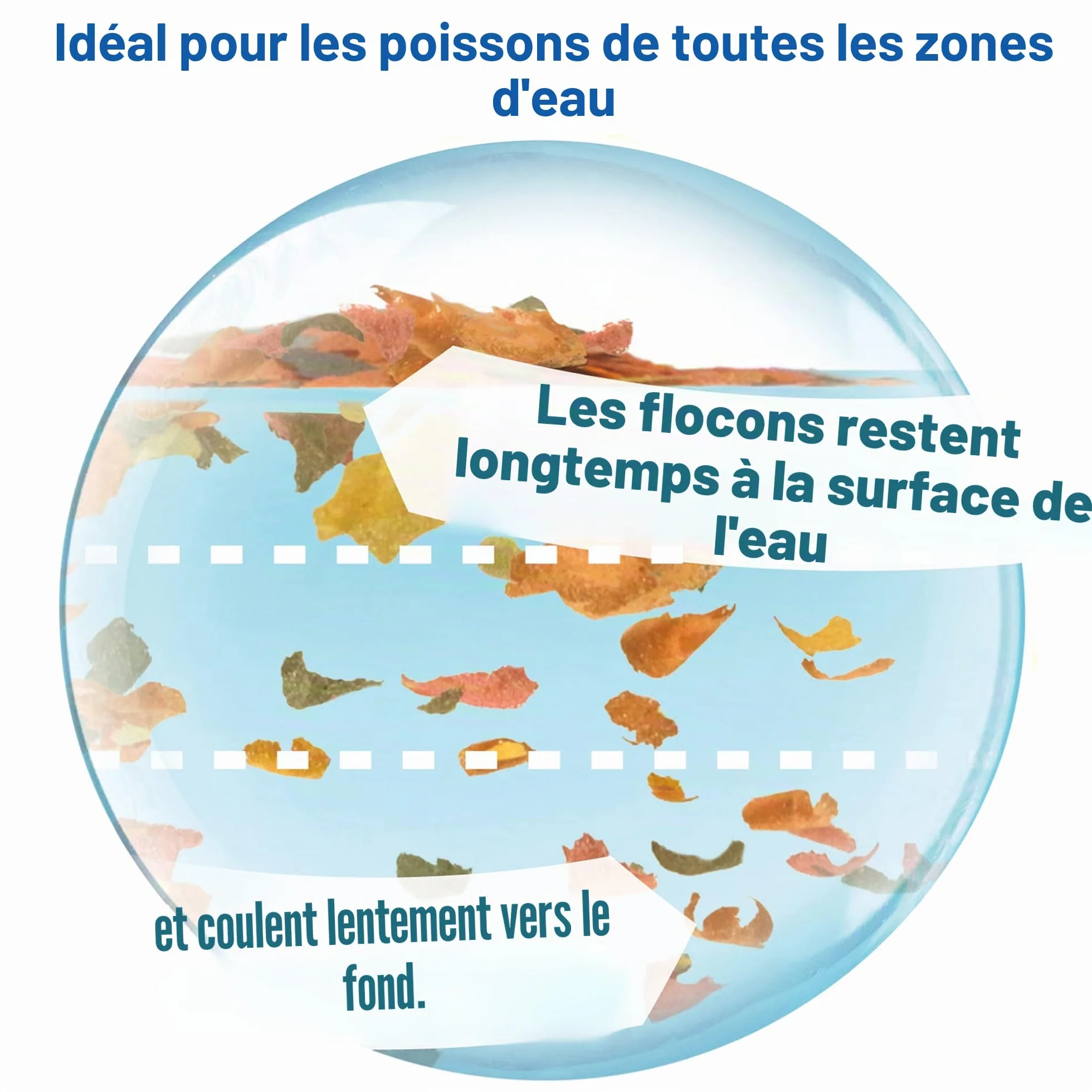 Tetra Tetramin Nourriture pour Aquariophilie 250 ML