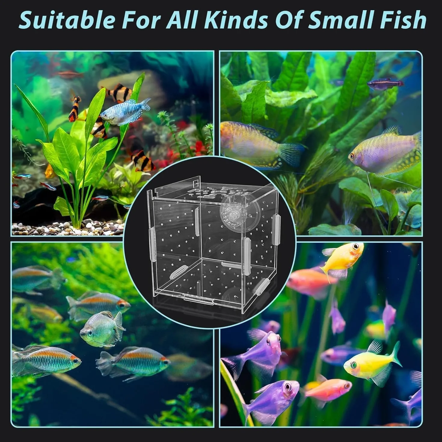 Éleveur de boîte d'isolement, boîte d'élevage d'incubateur pour poissons crevettes bébé (Grille Simple Petit Mini 6*6*6)