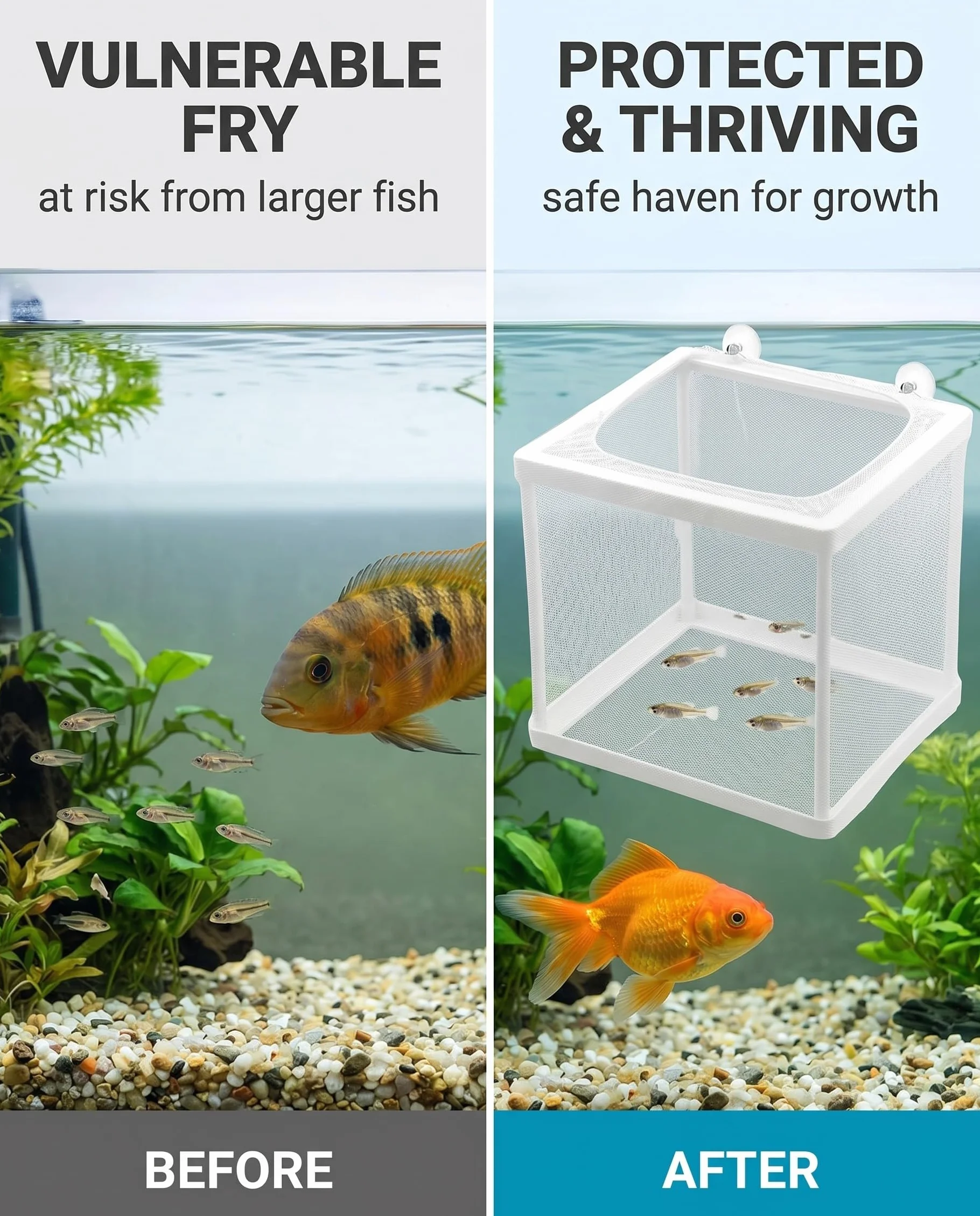 Boîte d’Élevage de Poissons, Aquarium Incubateur Filet, Séparation et Isolation pour Poisson Bébé