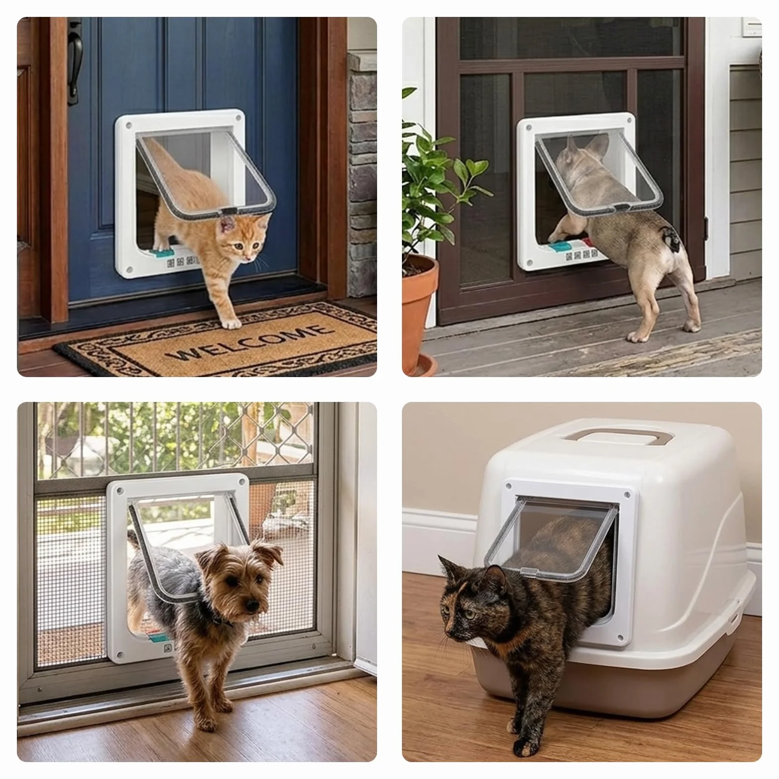 Chatière pour Chat, Verrouillage à 4 Voies, 20cm x 19cm (S), Blanc