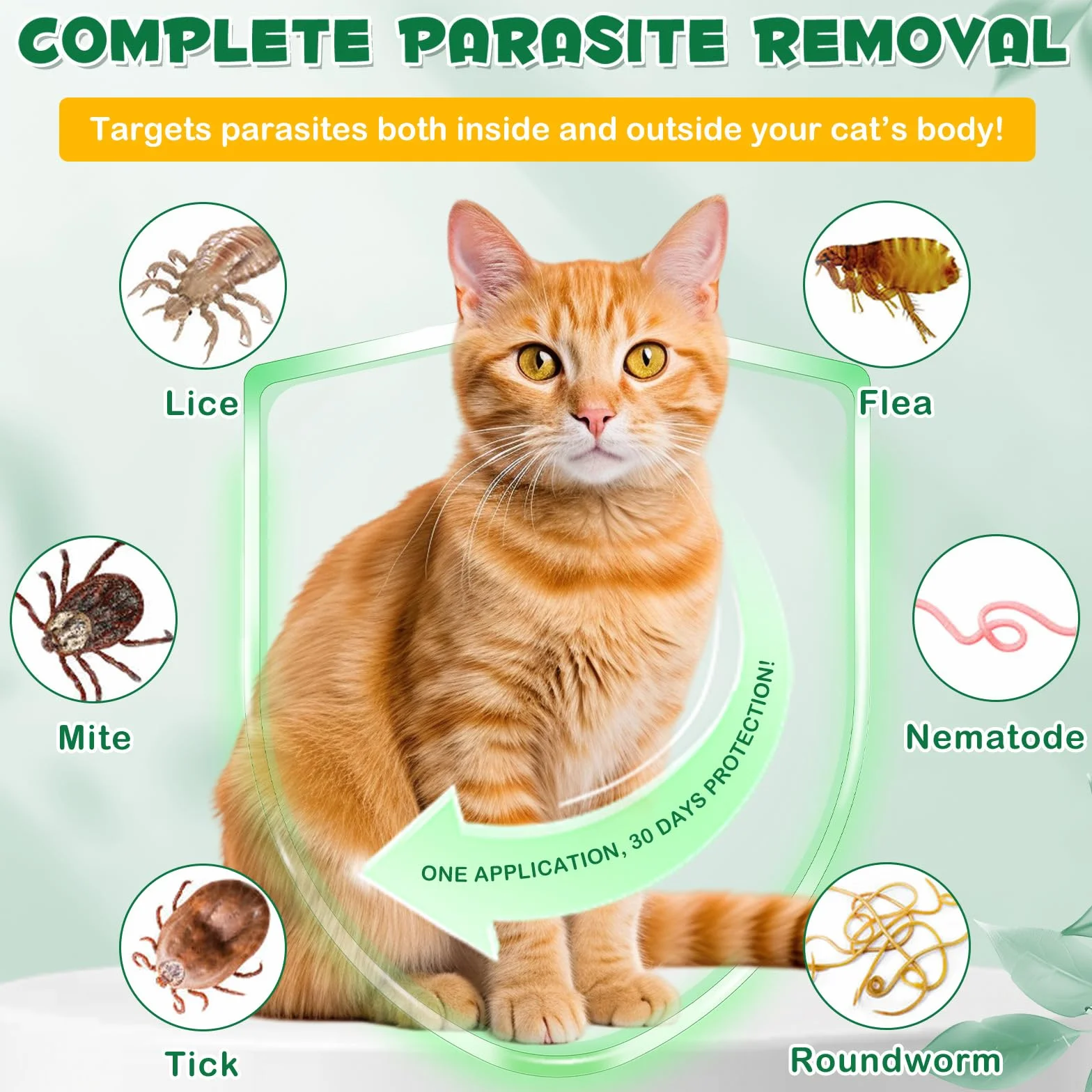 Ver-mi-fu-ge Topique en Gouttes pour Chats 6Pcs, Prévention des Puces et Tiques, Formule Naturelle