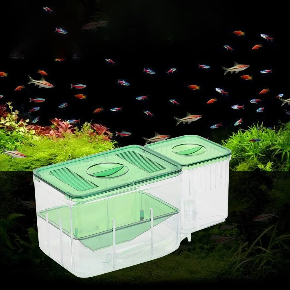 Boîte d'élevage de Poissons d'aquarium Double Couche Incubateur d'éclosion d'alevins