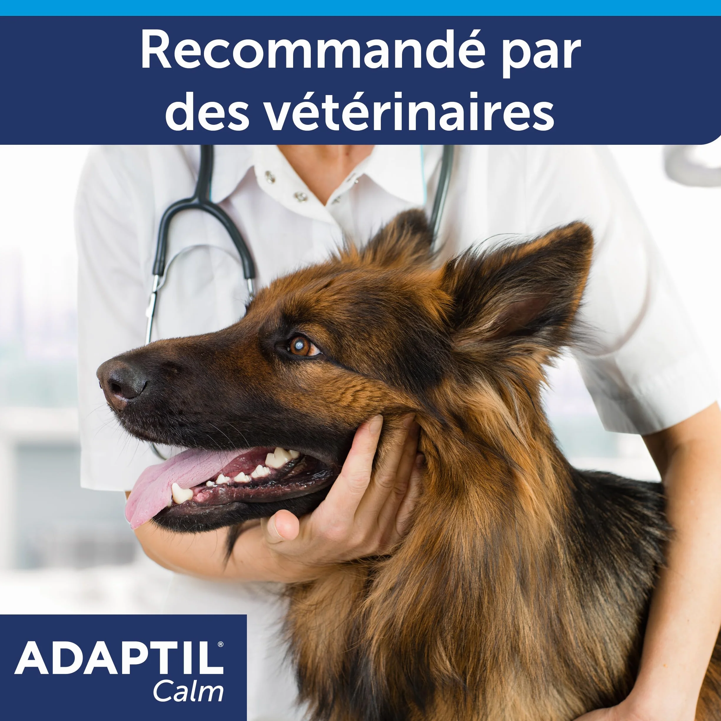 ADAPTIL Calm Anti-stress pour chien Recharge 48 ml