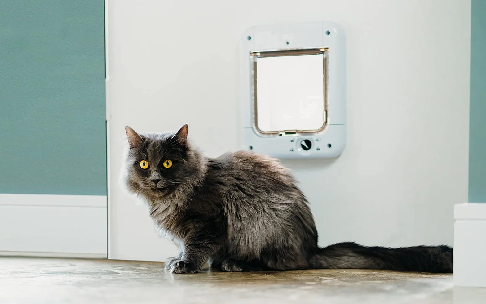 Cat Mate Chatière à Micro Puce pour Chat Blanc